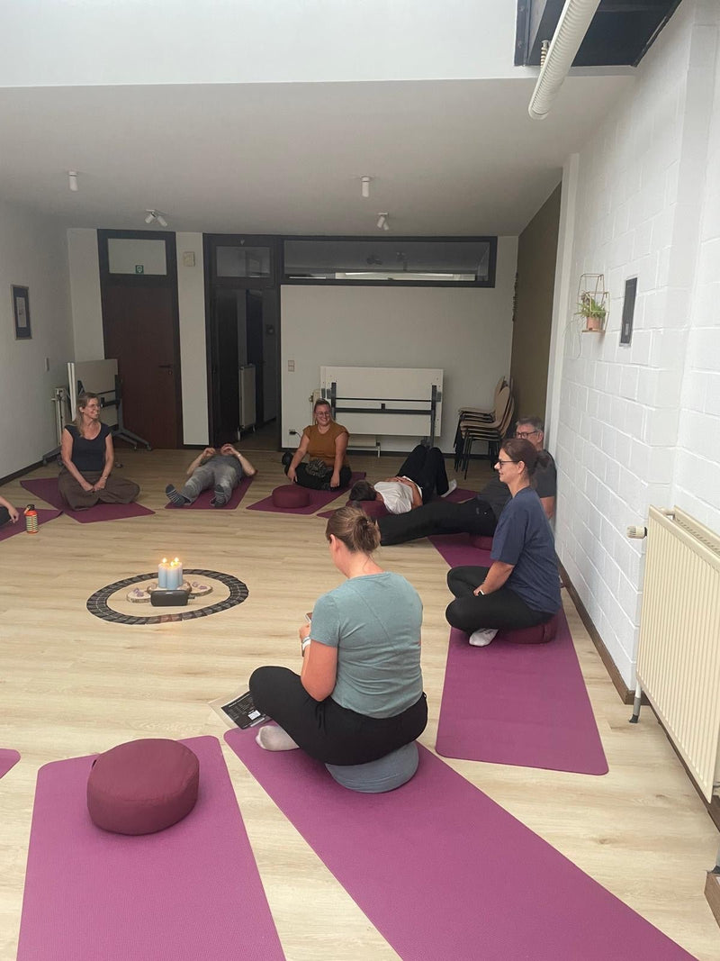Begeleide live meditaties - Energise Academy