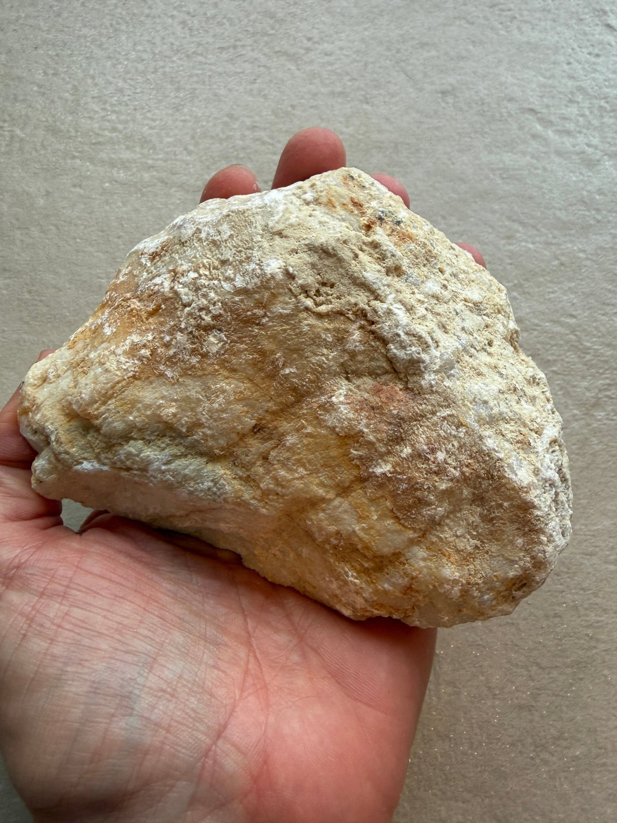 Bergkristal Geode - Energise Academy
