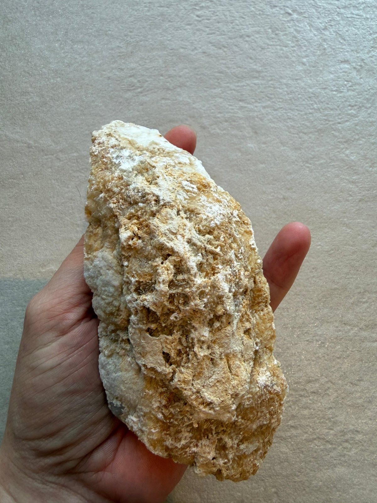 Bergkristal Geode - Energise Academy