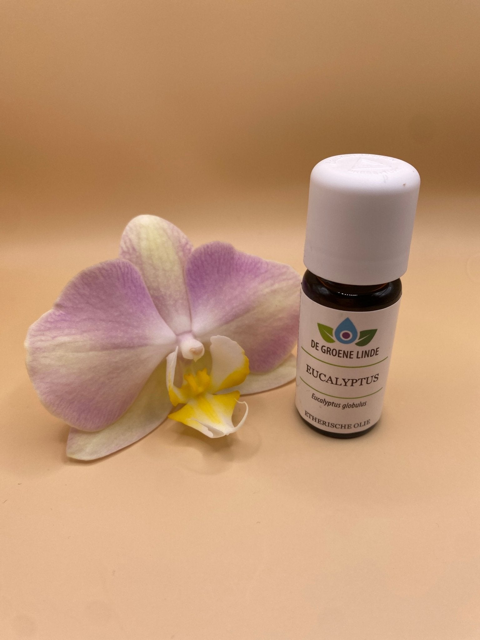 Etherische olie Eucalyptus – Vrije ademhaling en mentale verfrissing - Energise Academy