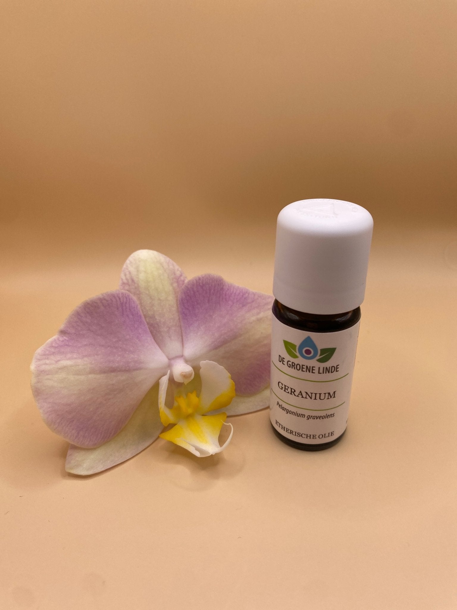 Etherische olie Geranium – Emotionele balans en harmonie - Energise Academy