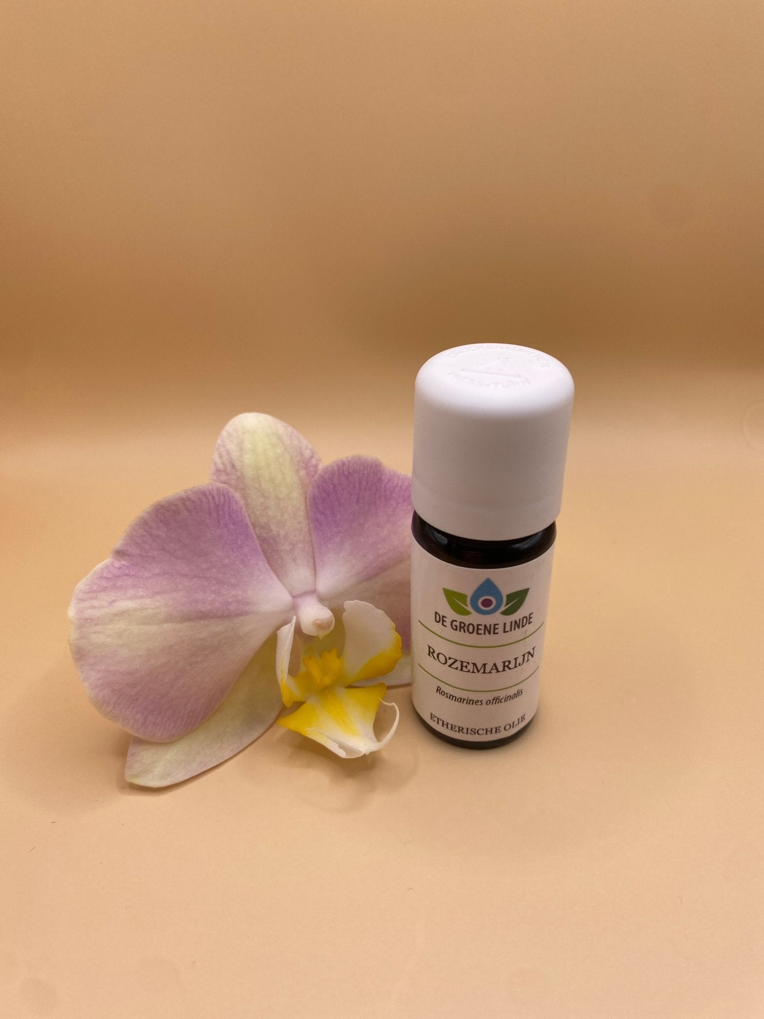 Etherische olie Rozemarijn – Mentale helderheid en focus - Energise Academy