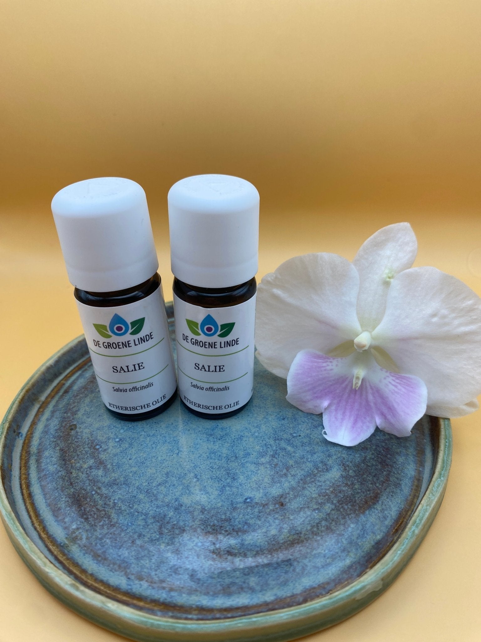 Etherische Olie Salie – Zuivering, hormonale balans en mentale helderheid - Energise Academy