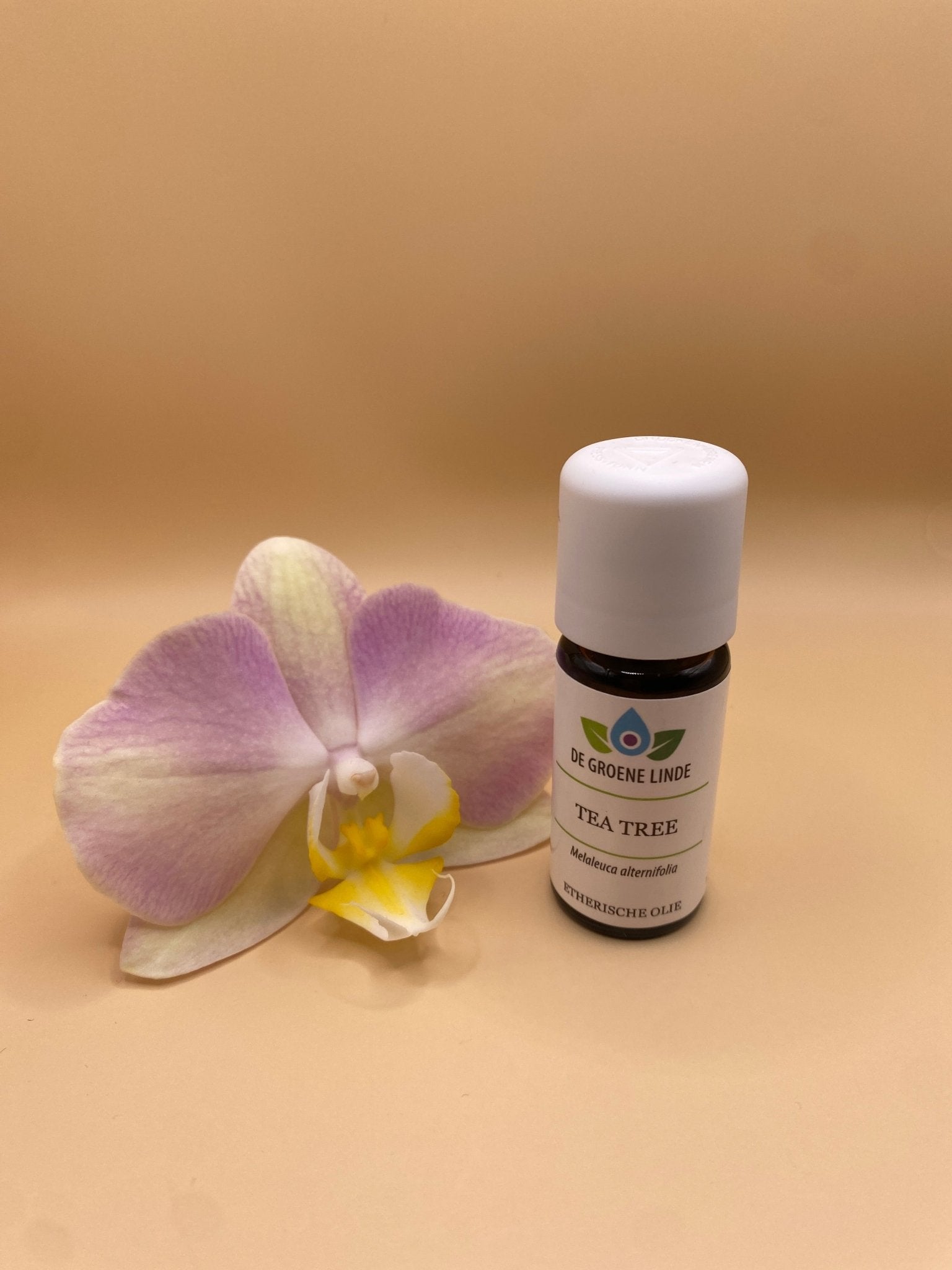 Etherische olie Tea Tree – Zuivering en energetische bescherming - Energise Academy