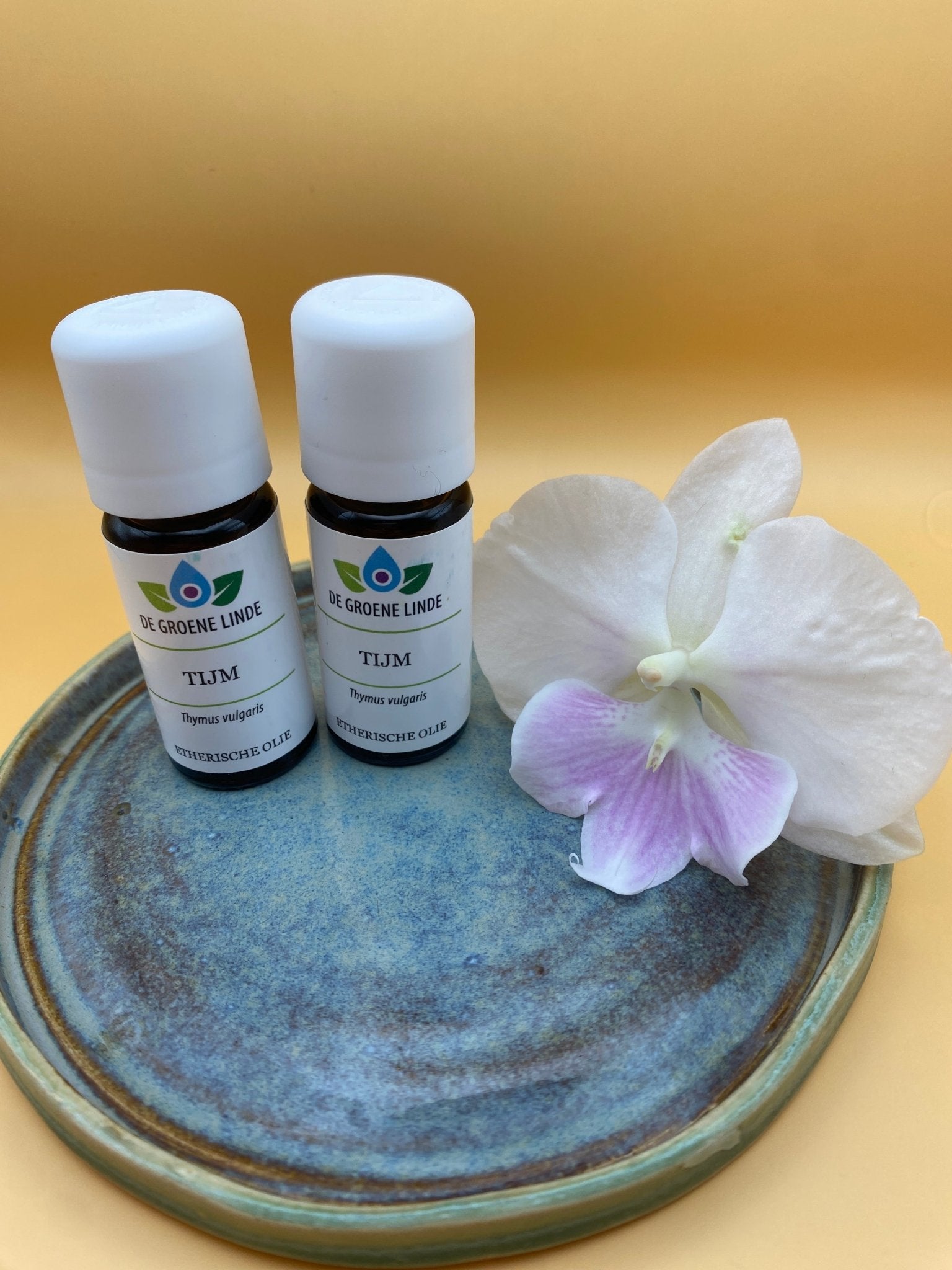 Etherische Olie Tijm – Krachtige bescherming, energie en ademhalingsondersteuning - Energise Academy
