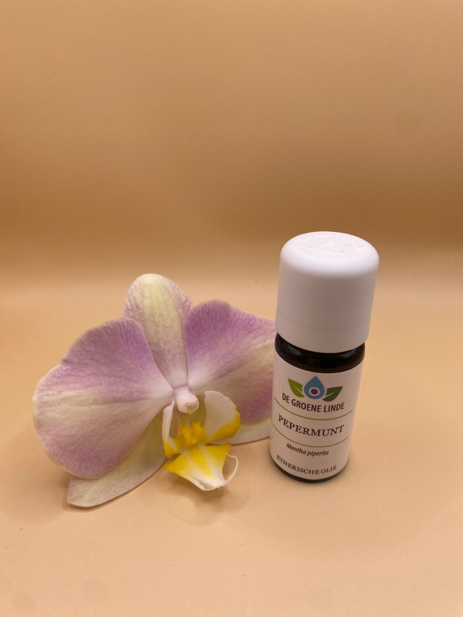 Focus Bundel – Etherische Oliën Rozemarijn, Citroen & Pepermunt | Hoe krijg ik meer focus - Energise Academy