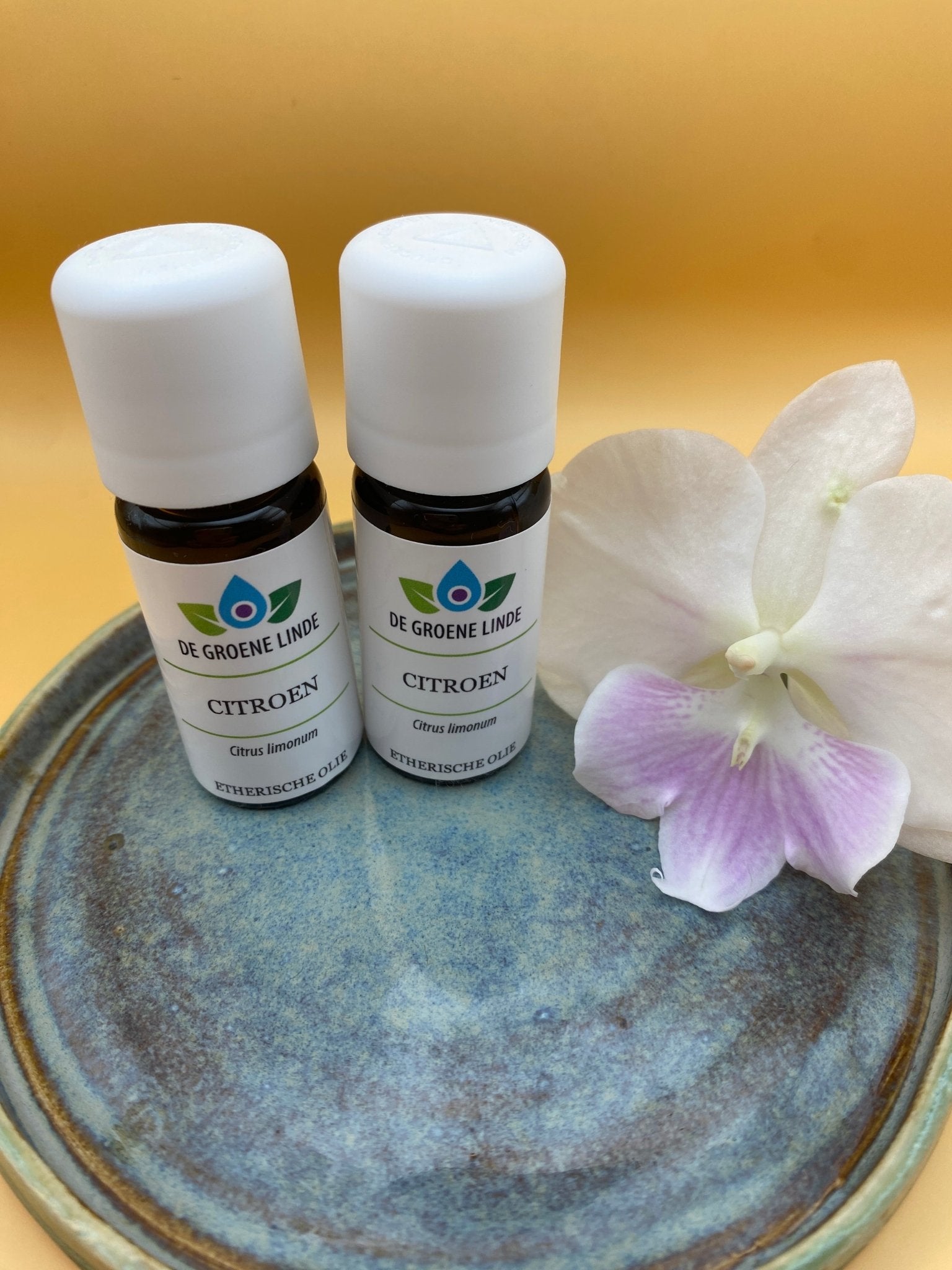 Focus Bundel – Etherische Oliën Rozemarijn, Citroen & Pepermunt | Hoe krijg ik meer focus - Energise Academy