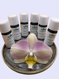 Migraine Relief Bundel – Etherische Oliën - Energise Academy