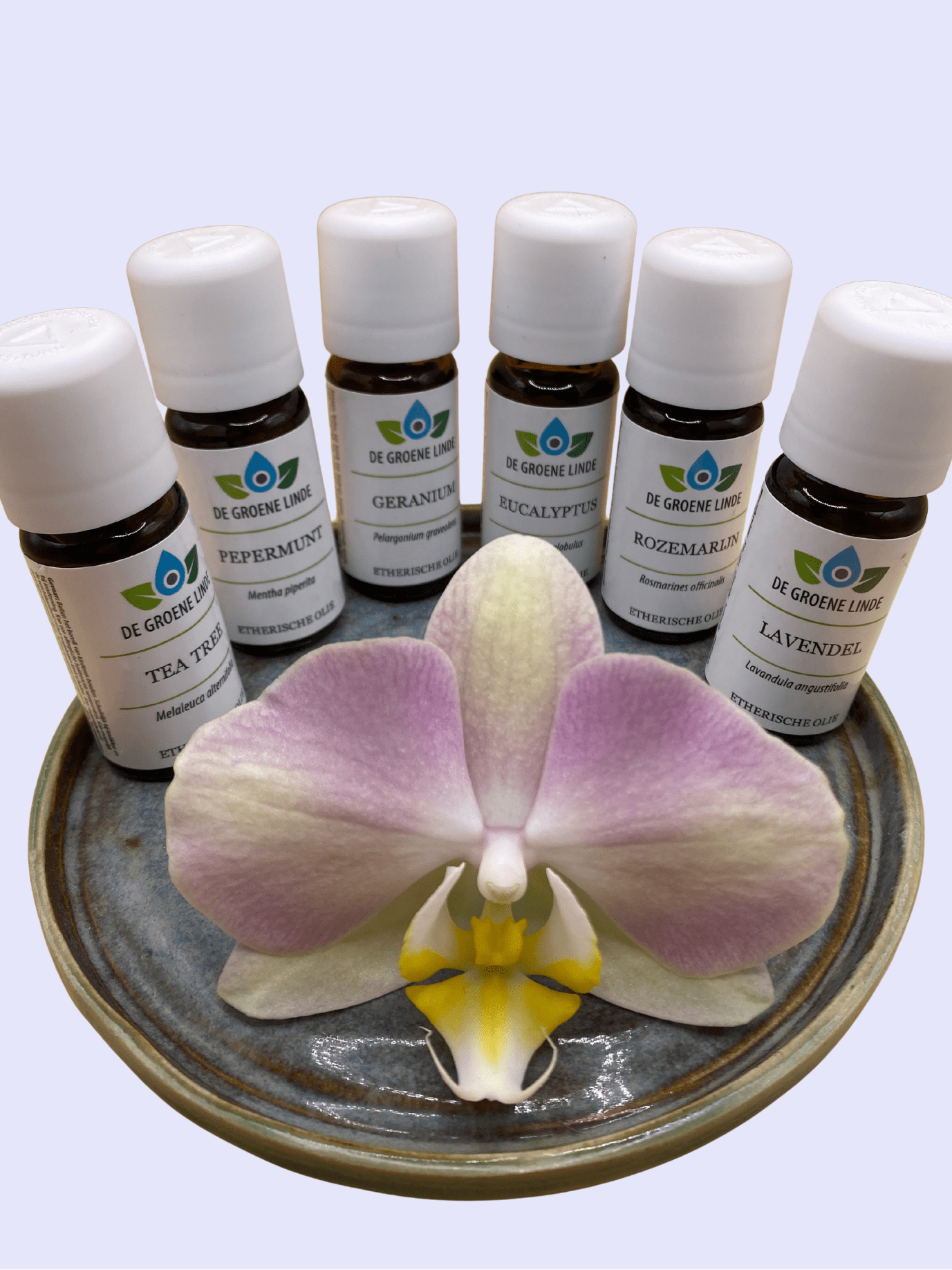 Migraine Relief Bundel – Etherische Oliën - Energise Academy